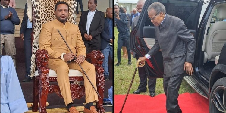 Mangosuthu Buthelezi takes a bow. He is allegedly stepping down after feud with Misuzulu