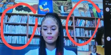 ” Is she really in prison ” Mzansi Reacts To Dr Nandipha’s Virtual Court Appearance Background