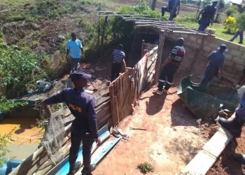 Hawks left a 29-year-old Zama Zama boss in tears after making a bust worth R800,000