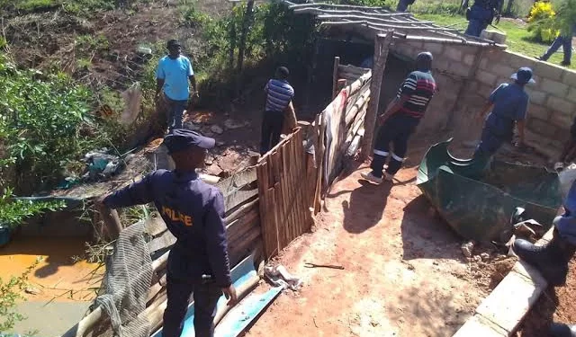 Hawks left a 29-year-old Zama Zama boss in tears after making a bust worth R800,000