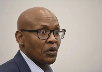 Mzwanele Manyi speaks on EFF’s open borders policy. Look what he said that left people talking