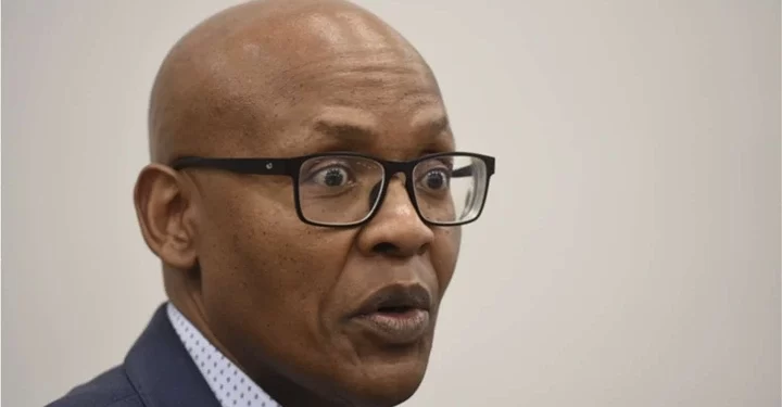 Mzwanele Manyi speaks on EFF’s open borders policy. Look what he said that left people talking
