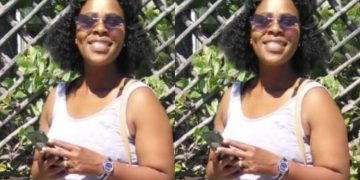 WATCH: People watch and record as two criminals get into a random car and steal a bag