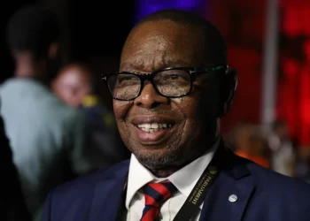 Two workers suspended after allegedly leaking minister Blade Nzimande’s audio recording