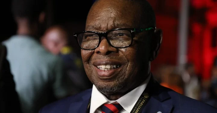 Two workers suspended after allegedly leaking minister Blade Nzimande’s audio recording