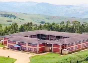 The Impact of Closing Rural Schools in KZN; as Announced Intention to Close Over 900 Rural Schools