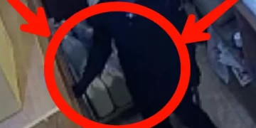 Allegedly, 3 illegal Zimbabweans broke into the house of EFF leader Julius Malema