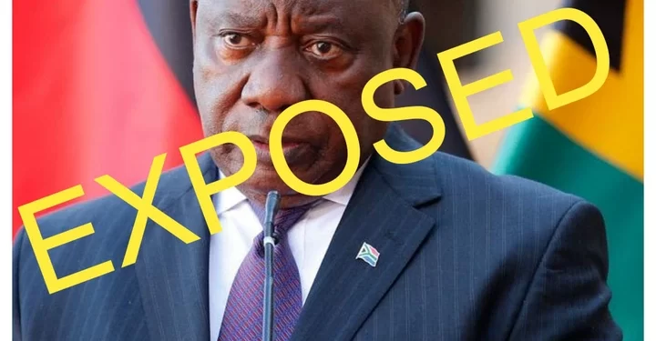 Daily Maverick exposed president Cyril Ramaphosa