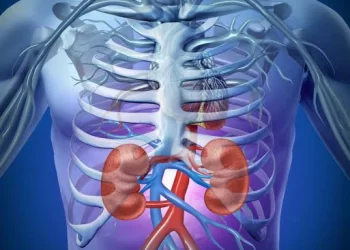 You are killing your kidney slowly with these 7 practices