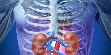 You are killing your kidney slowly with these 7 practices