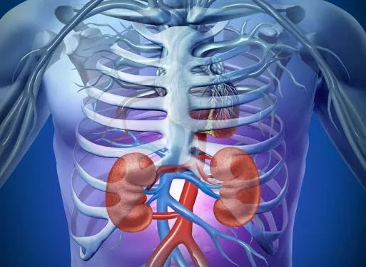 You are killing your kidney slowly with these 7 practices