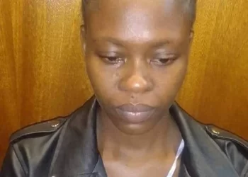 Limpopo: The Hawks arrested a 22-year-old woman after she defrauded a dealership for a Hyundai