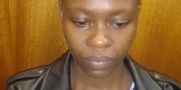 Limpopo: The Hawks arrested a 22-year-old woman after she defrauded a dealership for a Hyundai