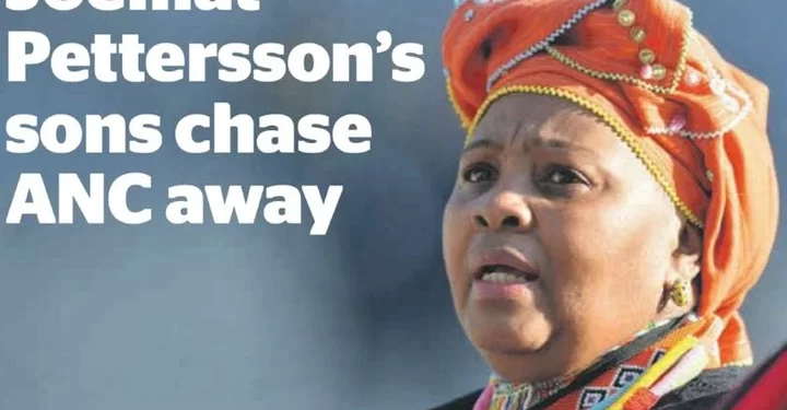 Sons of the ANC Big Wig and late Minister chase Away African National Congress heavyweight leaders