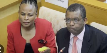 Mkhwebane Congratulates Mpofu As He Successfully Appeals SCA Judgment