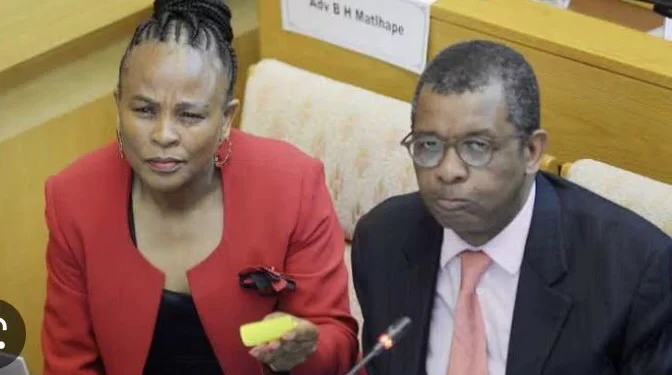 Mkhwebane Congratulates Mpofu As He Successfully Appeals SCA Judgment