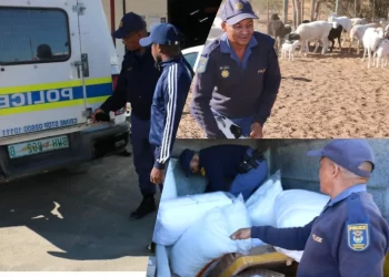 Look what Police were doing between the borders of SA, Botswana & Namibia
