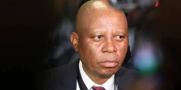 ActionSA Mashaba drops bombshell on Gwede Mantashe over Zama Zamas