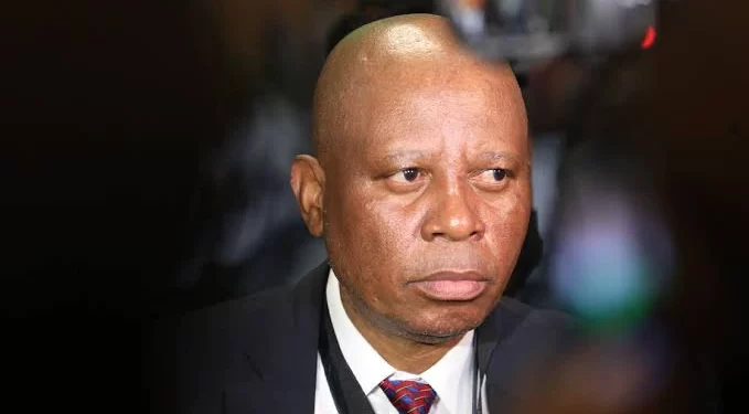 ActionSA Mashaba drops bombshell on Gwede Mantashe over Zama Zamas