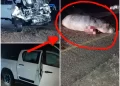 PICS: A driver of bakkie nearly lost his life after this happened on the road last night