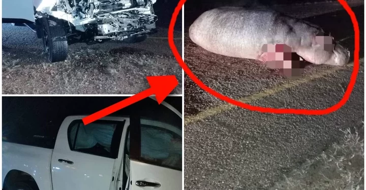 PICS: A driver of bakkie nearly lost his life after this happened on the road last night