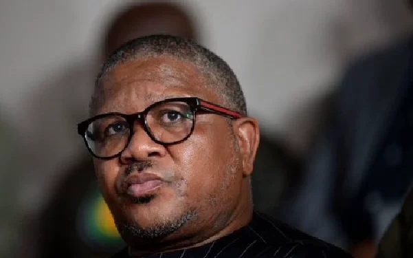 Fikile Mbalula Allegedly Tips The ANC to Get 30% Votes, Says That Voters Are Already Fed up