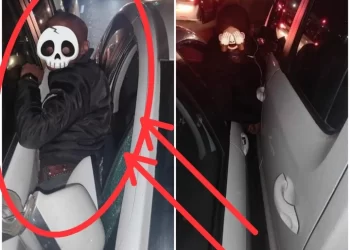 Smash and grab suspect gets squashed in between two cars, before he could make a run for it