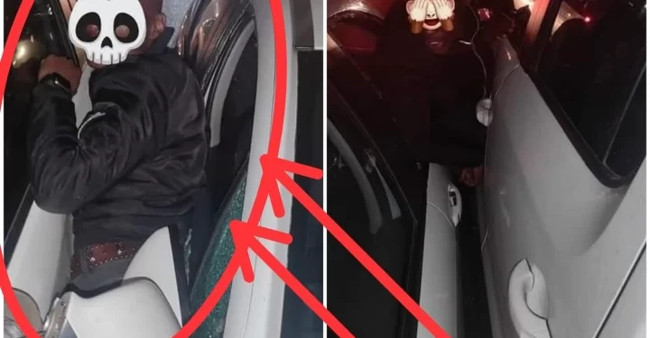 Smash and grab suspect gets squashed in between two cars, before he could make a run for it