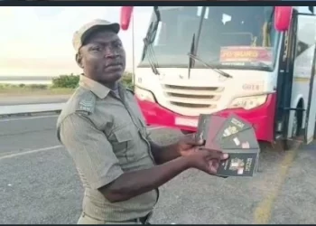 Only Five Foreigners Had Passports, The Bus Was Full Of Illegal Immigrants