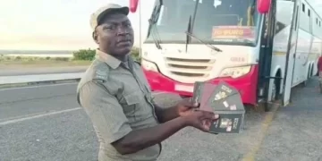 Only Five Foreigners Had Passports, The Bus Was Full Of Illegal Immigrants