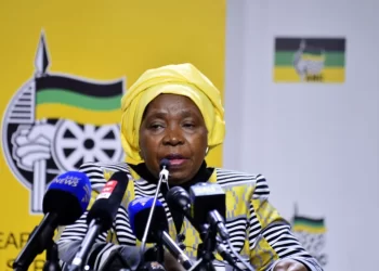 Dlamini-Zuma Drops Another Huge Bombshell This Morning