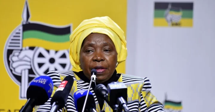 Dlamini-Zuma Drops Another Huge Bombshell This Morning