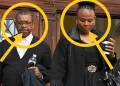 “Dali Mpofu Is a disgrace to legal profession” — Reactions After Dali Was Spotted With Mkhwebane