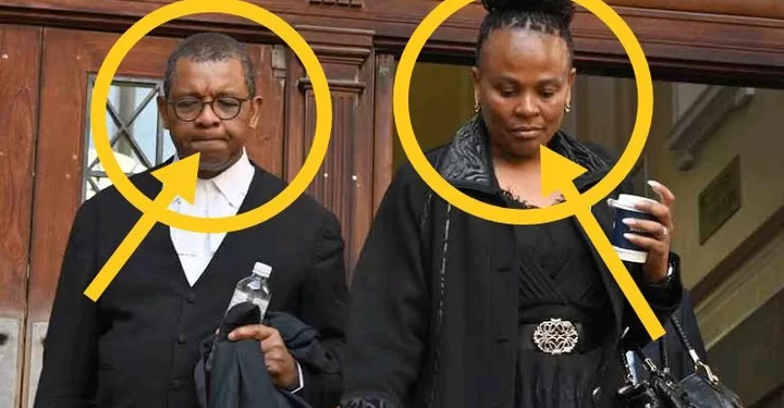 “Dali Mpofu Is a disgrace to legal profession” — Reactions After Dali Was Spotted With Mkhwebane