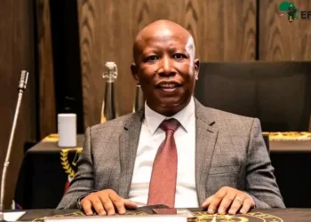 “‘I’m ready to be president – and I’m a better candidate than John Steenhuizen” says Julius Malema