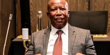 “‘I’m ready to be president – and I’m a better candidate than John Steenhuizen” says Julius Malema