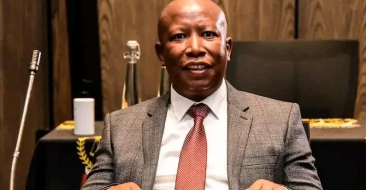 “‘I’m ready to be president – and I’m a better candidate than John Steenhuizen” says Julius Malema