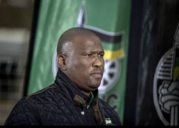 ANC Bigwig in Deep Trouble With SIU After Using Fake Certificates to Register for Master Degree