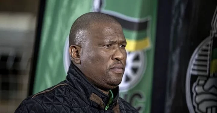 ANC Bigwig in Deep Trouble With SIU After Using Fake Certificates to Register for Master Degree