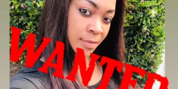 She stole from a well known Tycoon at his Larney apartment