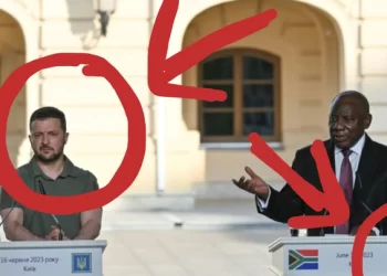 “Clowns” check what people noticed about the president of Ukraine when Ramaphosa was talking