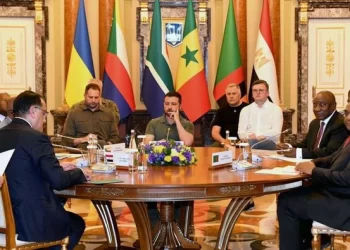 Vladimir Putin does not care about the safety of the leaders of Africa.