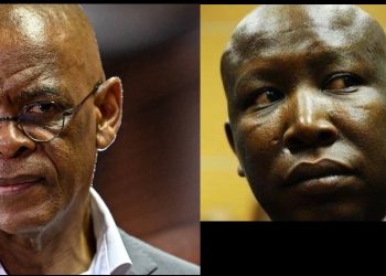 Magashule left Malema in shock after he revealed this, see what he said that left mzansi Speechless
