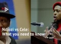 Dr Mbuyiseni Ndlozi takes on Bheki Cele, calling him ” Murder Statistics”