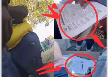 Watch: ANC members dumping 100 of CV’s after veteran Panyaza Lesufi promised only black people jobs