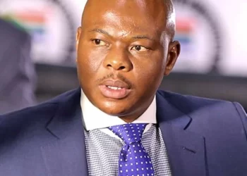 It Ended in tears for Businessman and ANC benefactor Edwin Sodi