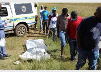 Polokwane is no longer safe: A burnt body of a woman was found in the bushes next to the off-ramp