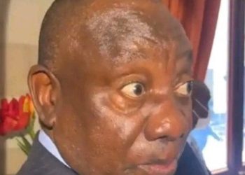 DA won the case over ANC