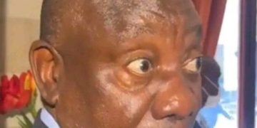 DA won the case over ANC