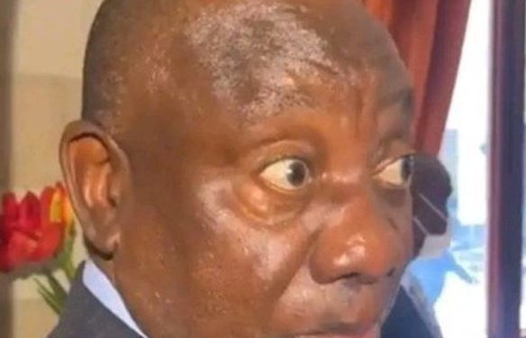 DA won the case over ANC